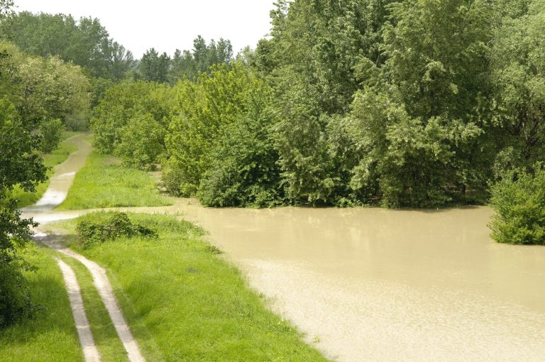 Zvýšená hladina rieky Váh v Šali v roku 2010.