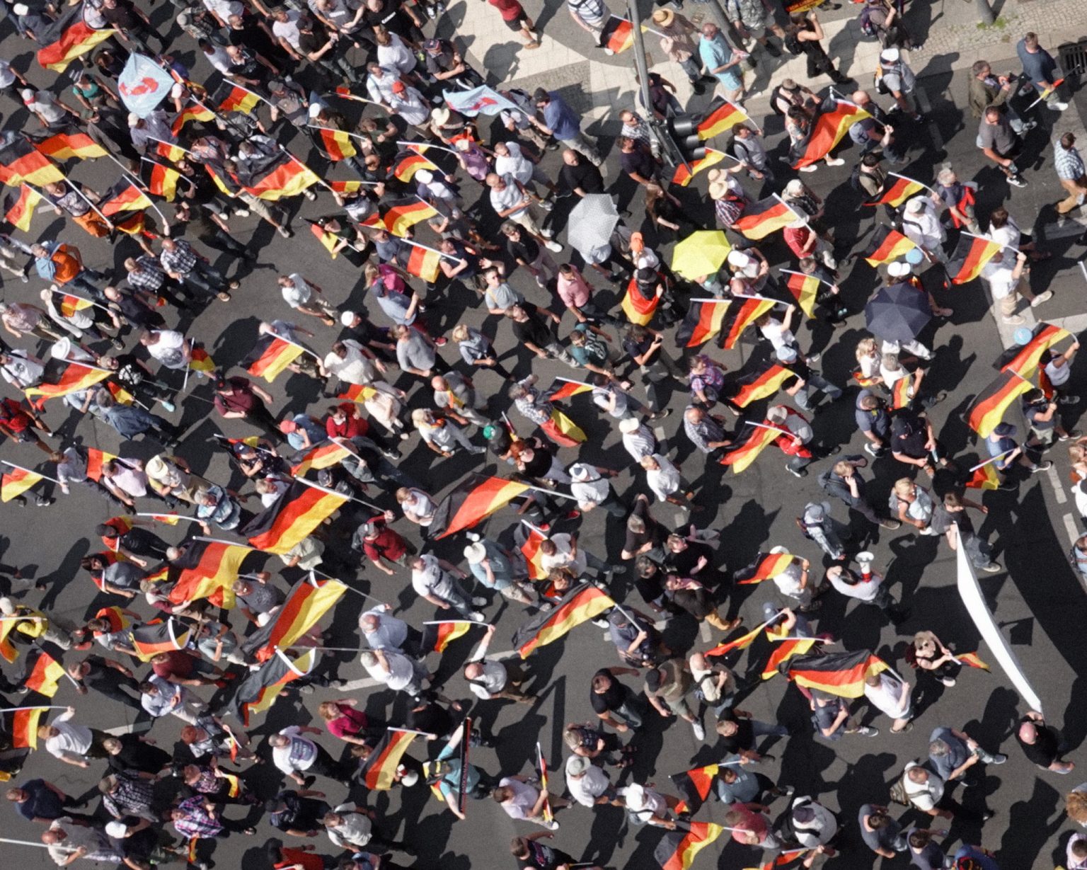 Supporters of the AfD party protest.