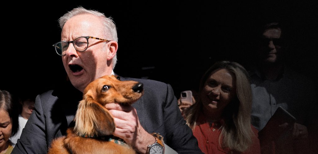 Albanese Falls into the Normal-Bloke Trap