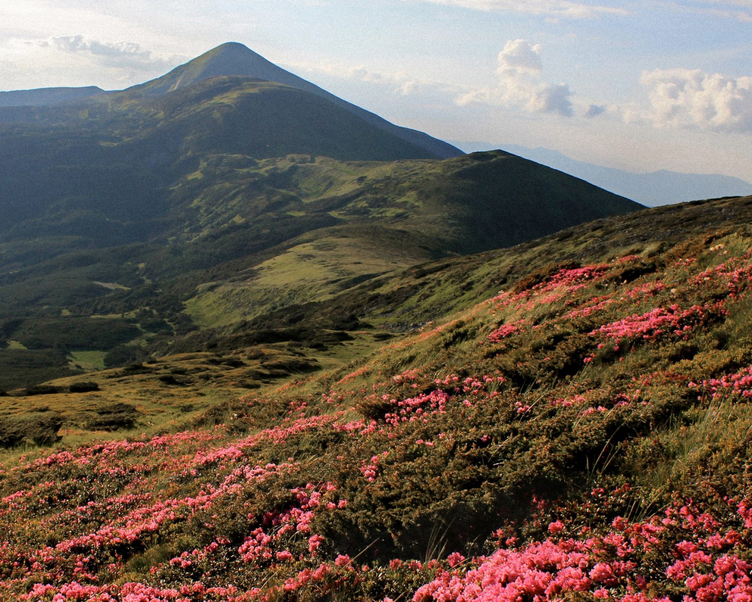 The Carpathians offer young Ukrainian footballers a refuge.