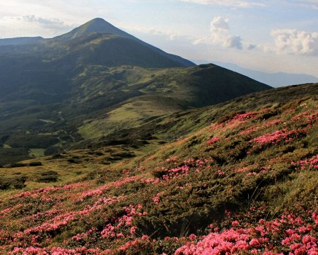 The Carpathians offer young Ukrainian footballers a refuge.
