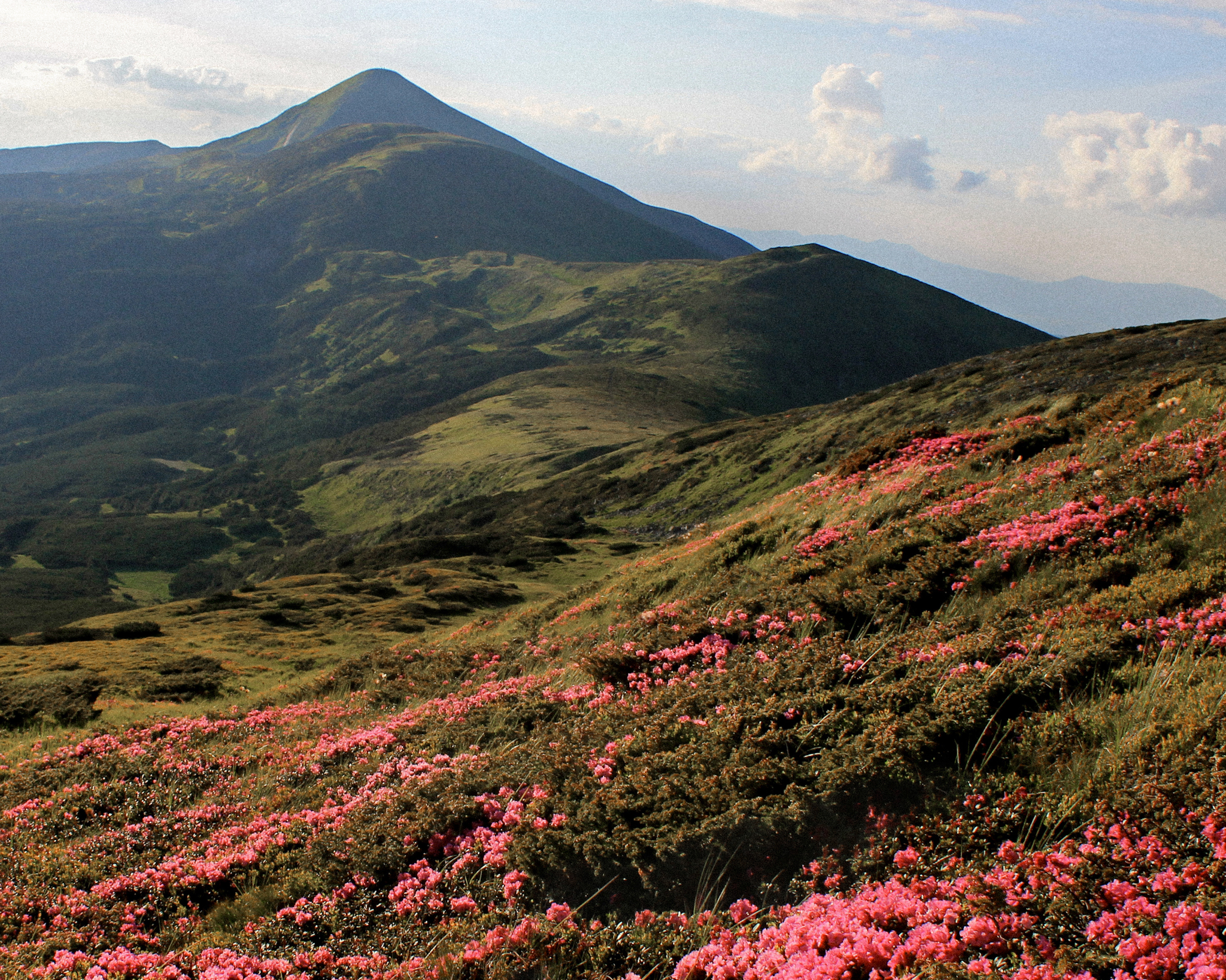 War-Weary Ukrainian Children Recover in the Carpathians