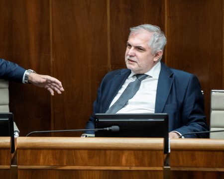 Michelko vidí džihádistickú opozíciu, Pellegrini však karhá koalíciu