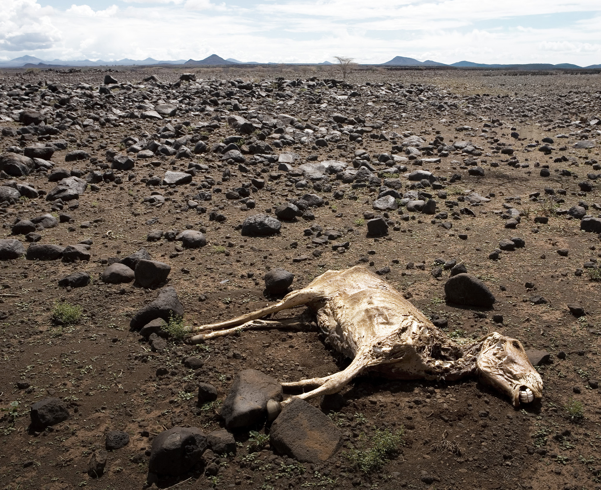 Why a Planet Full of Water Is Running Short