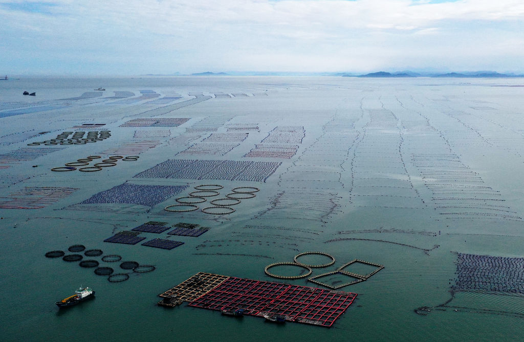 A marine ranch in Dinghai Bay, Fujian province.