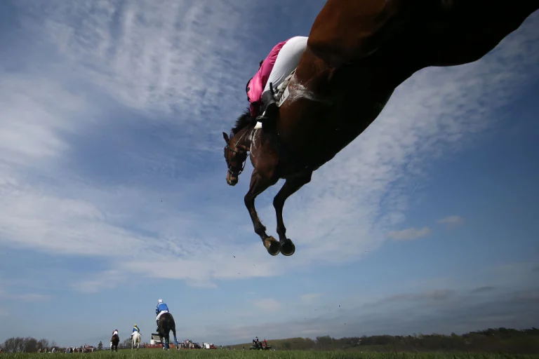 Investing in AI is like betting on a favorite.