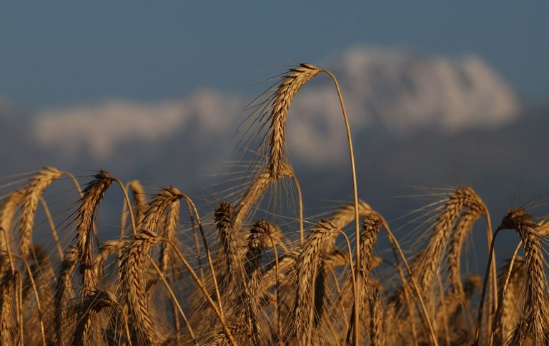 Grain.