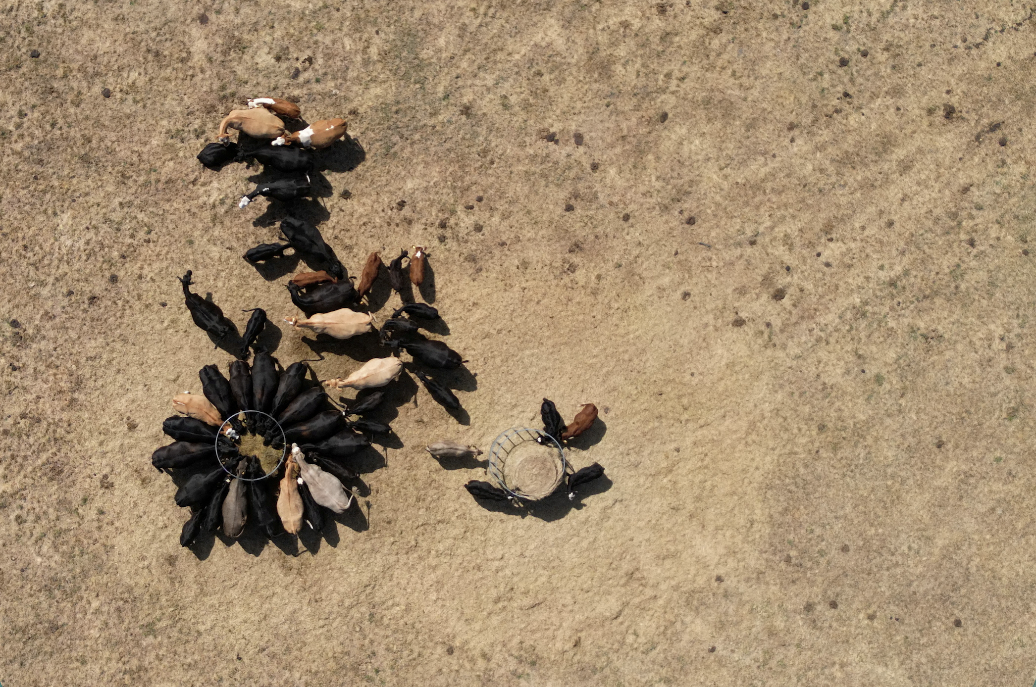 Drought Puts Europe’s Crops Under Pressure
