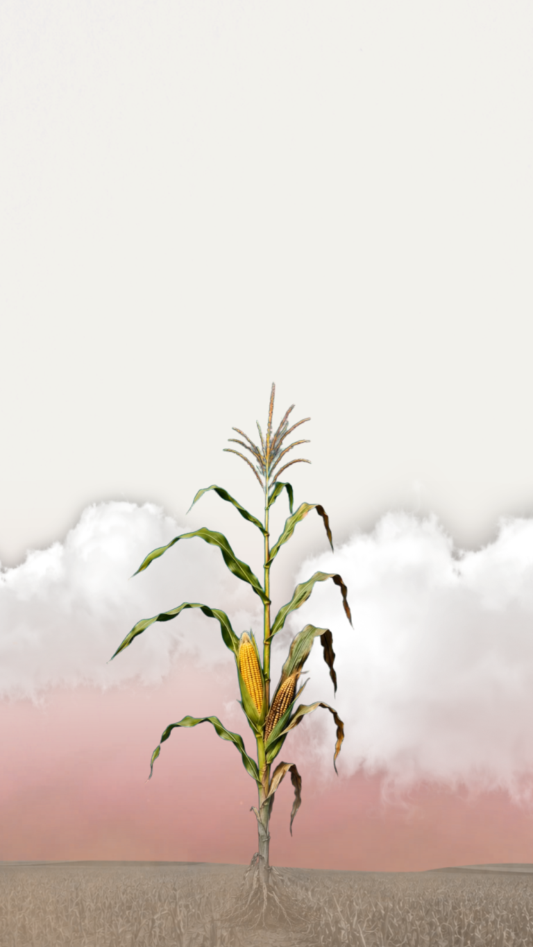 Are we running out of food because of climate change?