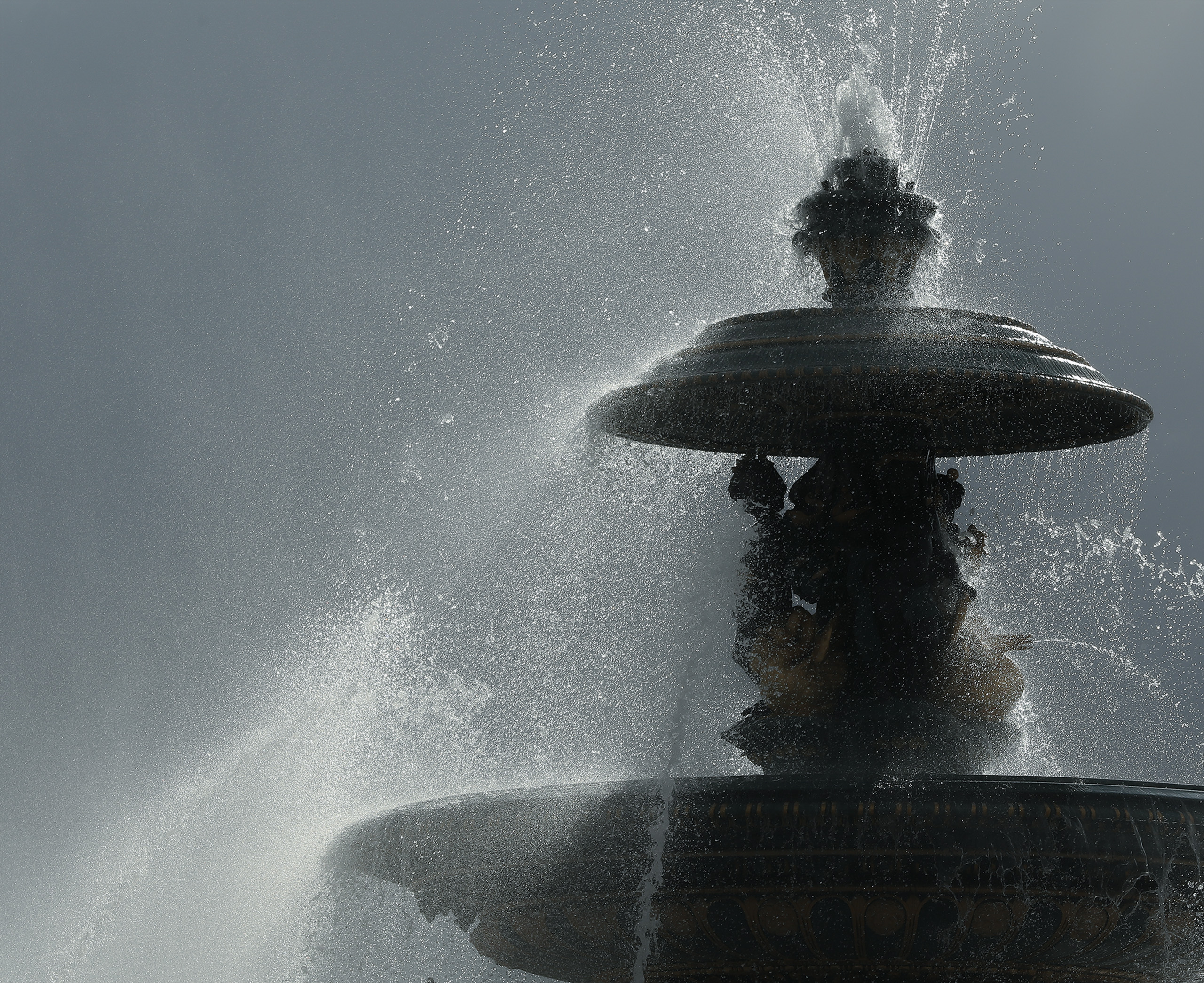 Paris's Water-Saving Plan Is Killing Its Own Trees