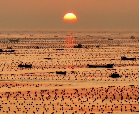 China leads in aquaculture but faces pollution.