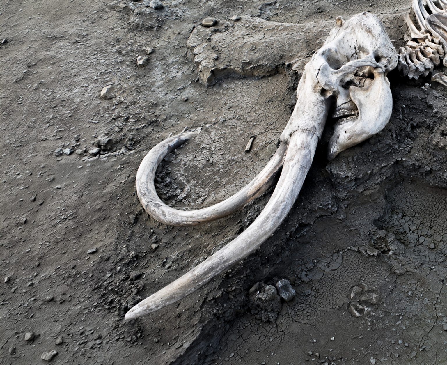 Falling water levels in the Danube and Rhine have revealed long-hidden relics. Photo: Statement / AI
