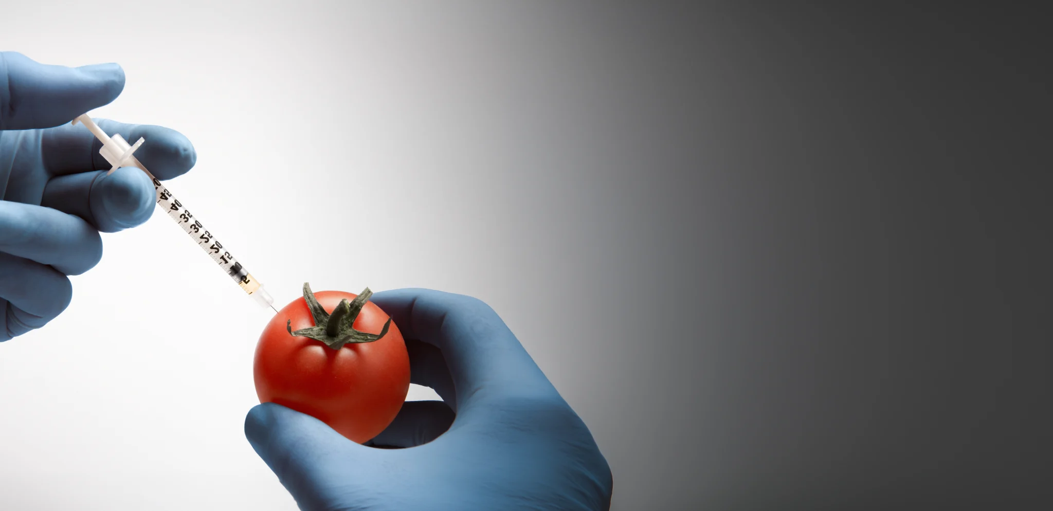 Britain’s Gene-Edited Food Revolution