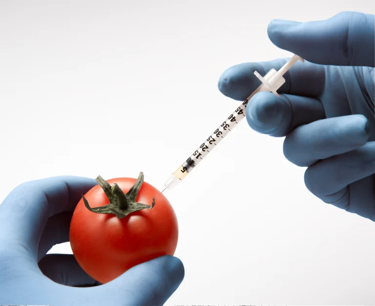 Gene-edited tomatoes.