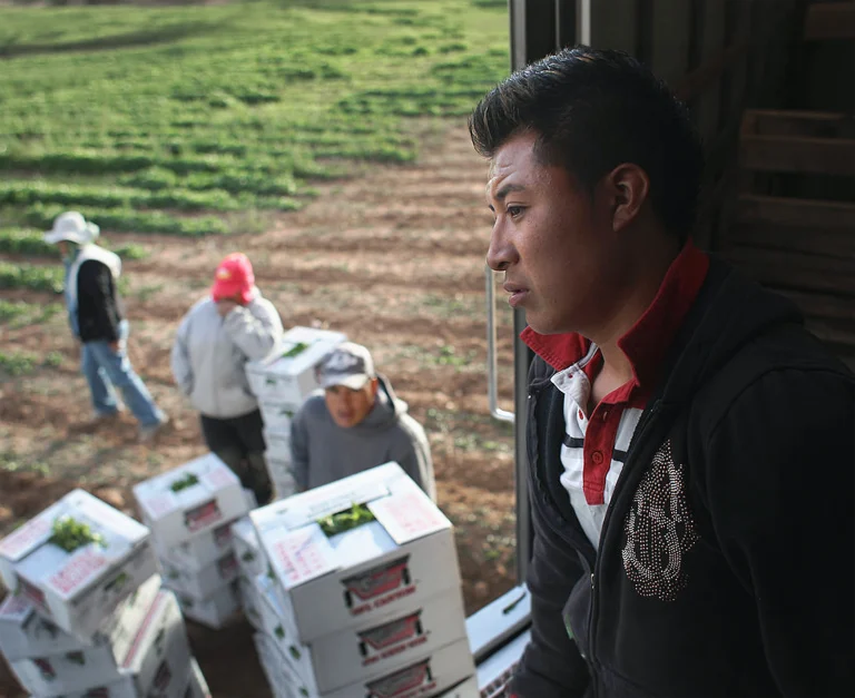 Migrant laborers in key sectors.