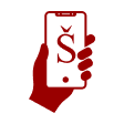 Naše korene sú digitálne, naším domovom je internet